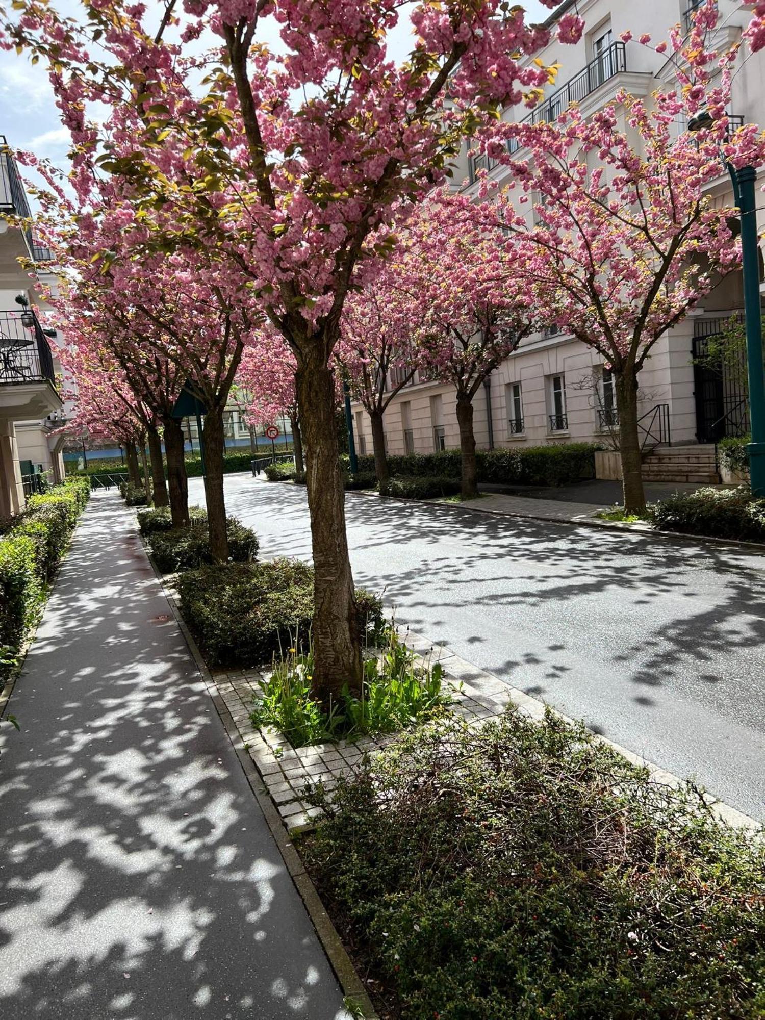 Sweet Appartement Disneyland Paris Parking 300M Station Val D'Europe Chessy  Eksteriør billede